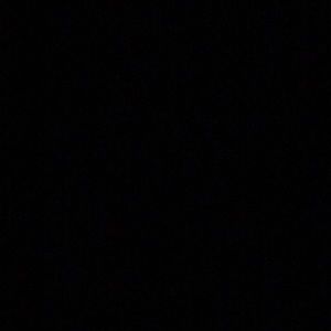 Meet your Posher, Ann